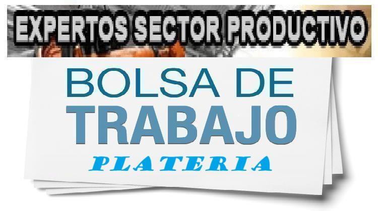 experto2