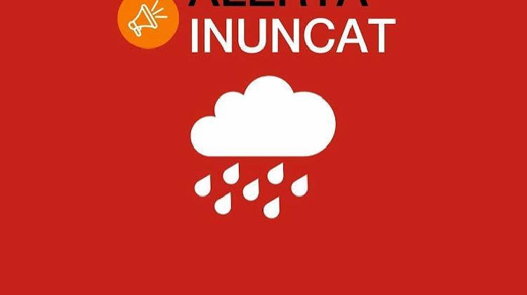 inuncat